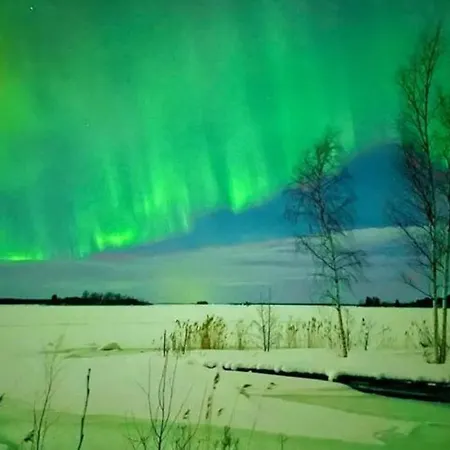 Big 4 Bedroom House With Sauna By The Sea